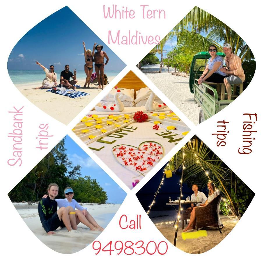 מלון Maamigili White Tern Maldives מראה חיצוני תמונה