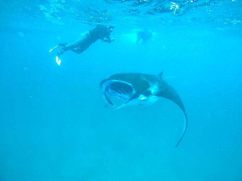 מלון Maamigili White Tern Maldives מראה חיצוני תמונה
