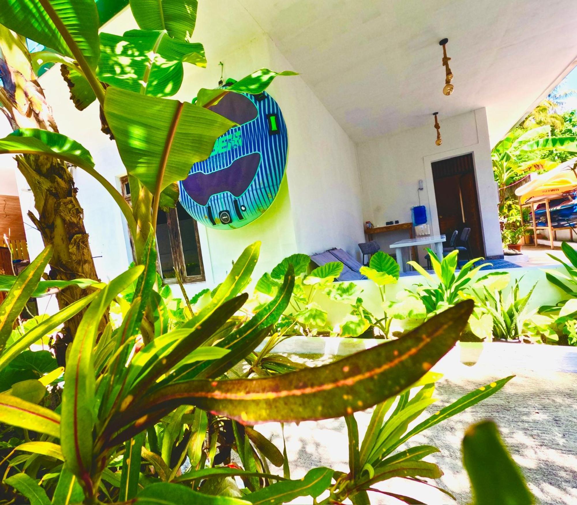 מלון Maamigili White Tern Maldives מראה חיצוני תמונה